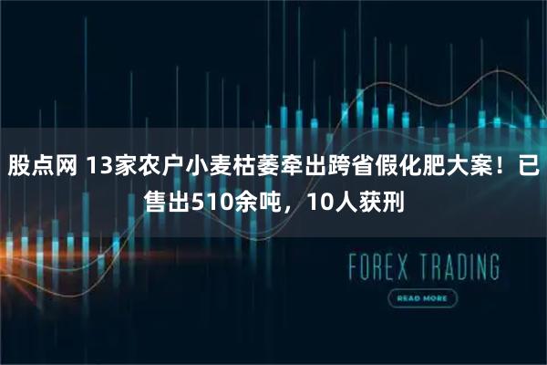 股点网 13家农户小麦枯萎牵出跨省假化肥大案！已售出510余吨，10人获刑