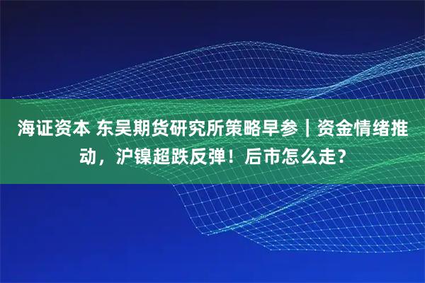 海证资本 东吴期货研究所策略早参｜资金情绪推动，沪镍超跌反弹！后市怎么走？