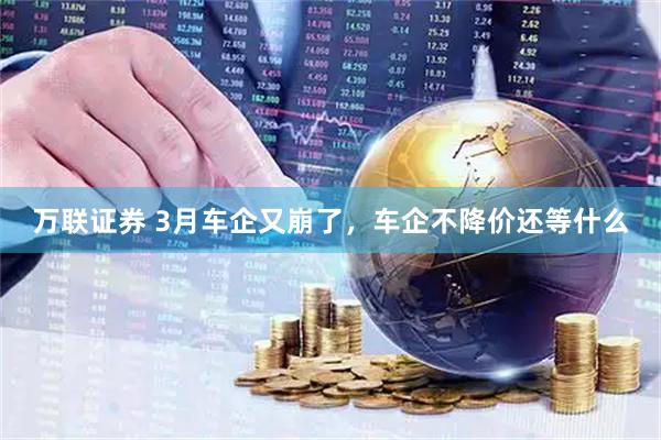 万联证券 3月车企又崩了，车企不降价还等什么
