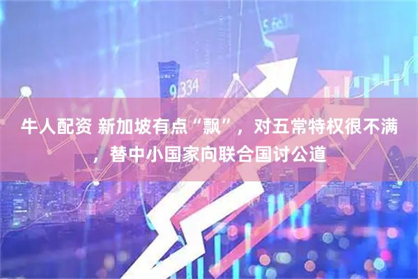 牛人配资 新加坡有点“飘”，对五常特权很不满，替中小国家向联合国讨公道