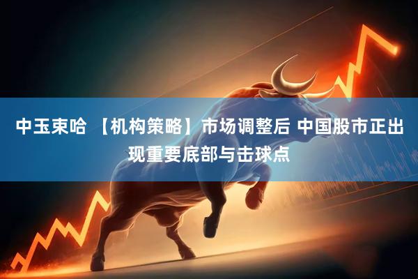 中玉束哈 【机构策略】市场调整后 中国股市正出现重要底部与击球点