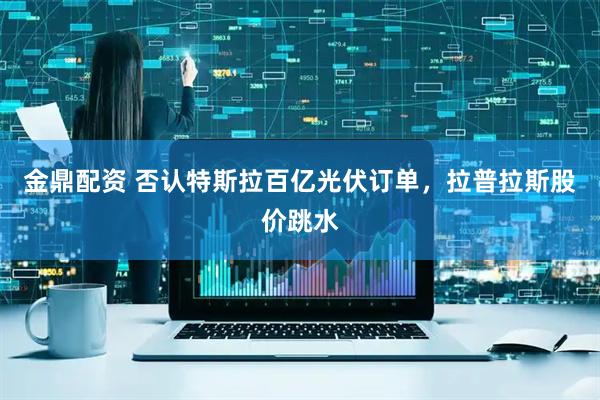 金鼎配资 否认特斯拉百亿光伏订单，拉普拉斯股价跳水