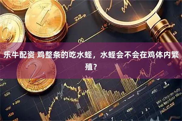 乐牛配资 鸡整条的吃水蛭，水蛭会不会在鸡体内繁殖？