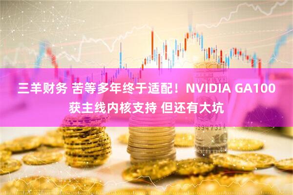 三羊财务 苦等多年终于适配！NVIDIA GA100获主线内核支持 但还有大坑