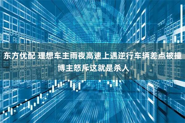 东方优配 理想车主雨夜高速上遇逆行车辆差点被撞 博主怒斥这就是杀人