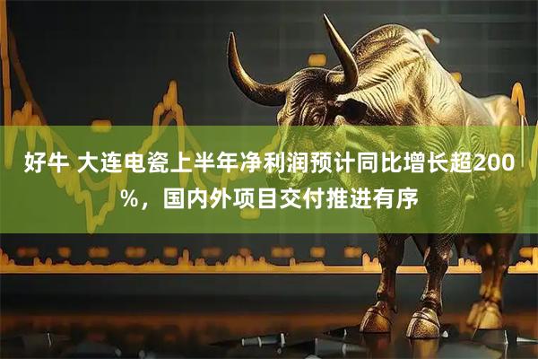 好牛 大连电瓷上半年净利润预计同比增长超200%，国内外项目交付推进有序